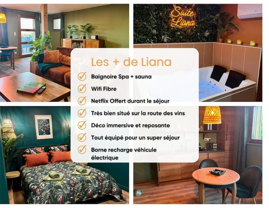 Suite Liana - Spa- Sauna Rorschwihr Esterno foto
