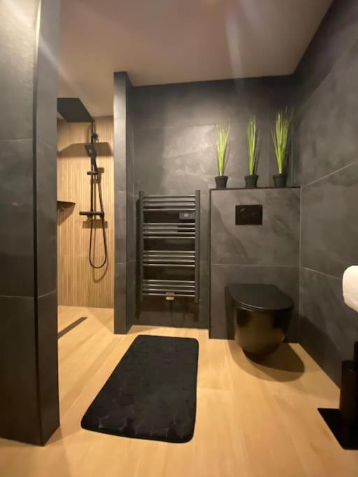 Suite Liana - Spa- Sauna Rorschwihr Esterno foto